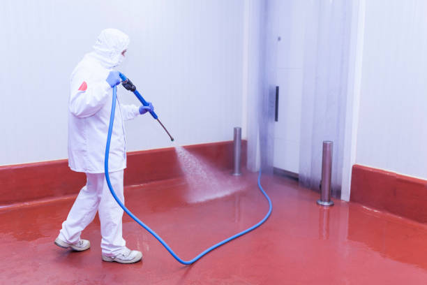 Trusted Hayden, AL Pressure Washing Services Experts